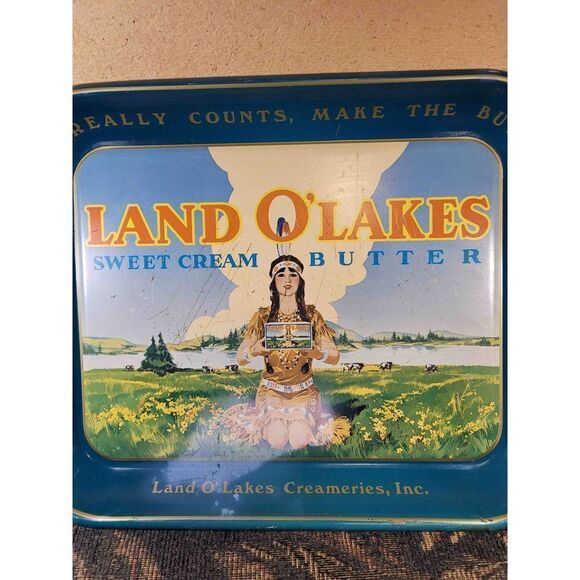Vintage Retired Logo Land O' Lakes Serving Tray - Picture 6 of 9